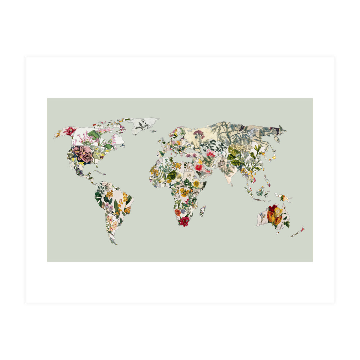 Vintage Botanical Map - Green (Print Only)