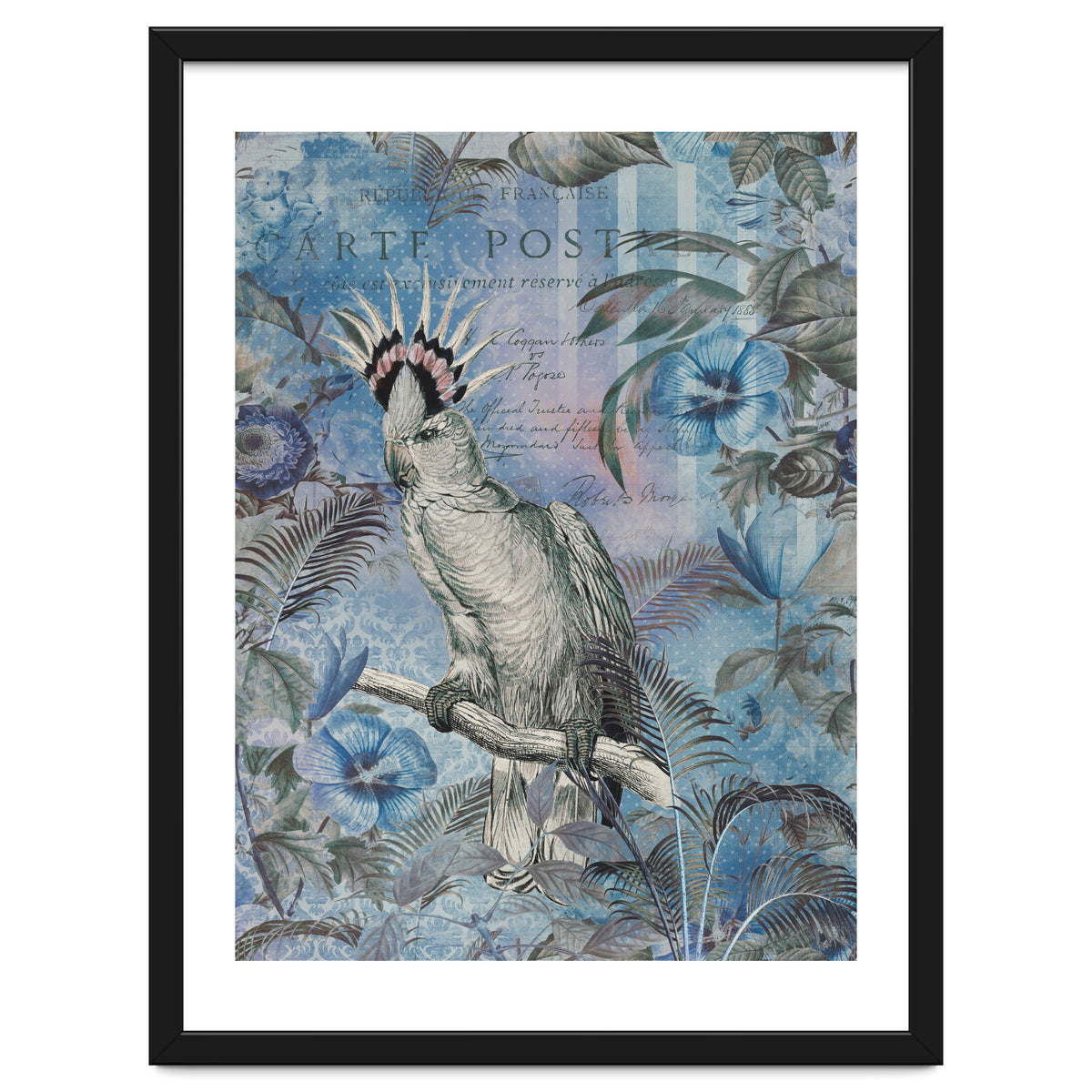 Jungle Cockatoo Blue