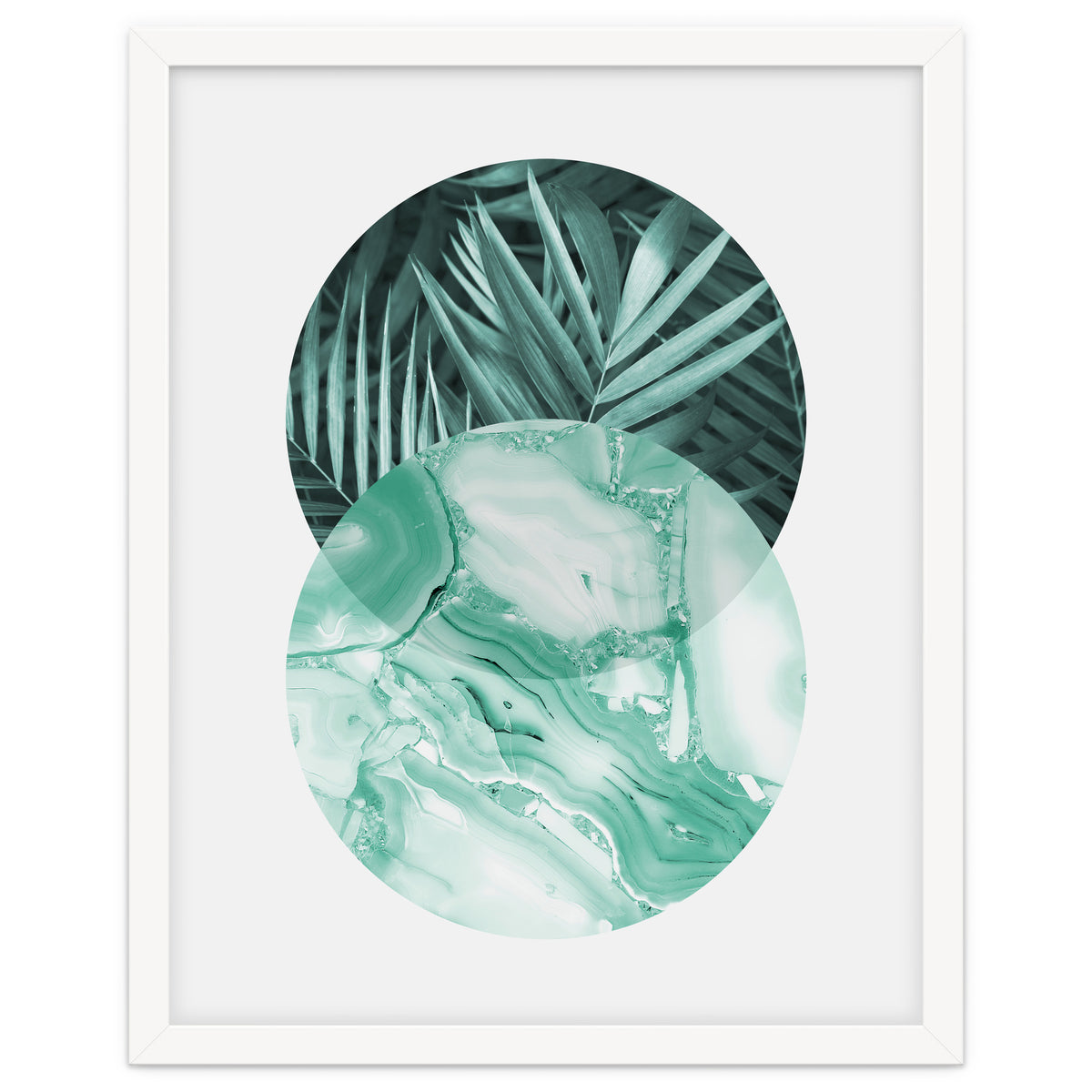 Botanical and geometric IV