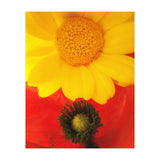 SPRING LOVE (Print Only) thumbnail