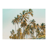 Island Life III (Print Only) thumbnail