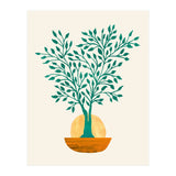 Emerald Ficus Sunset (Print Only) thumbnail
