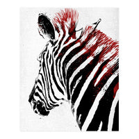 Zebra (Print Only)
