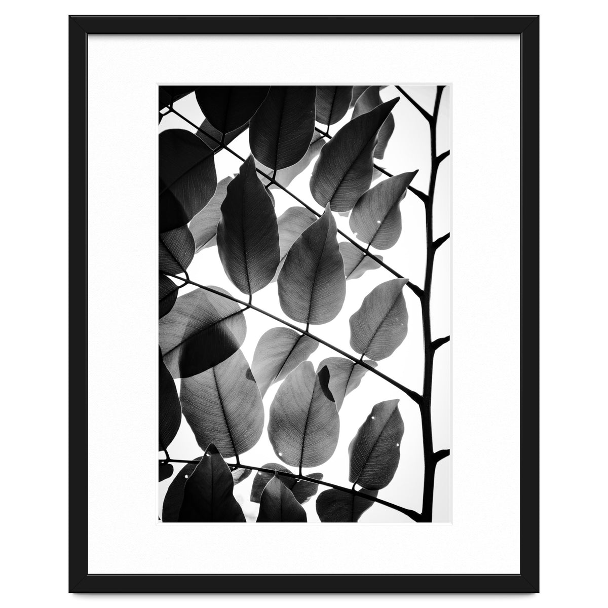 Branches and Leaves II