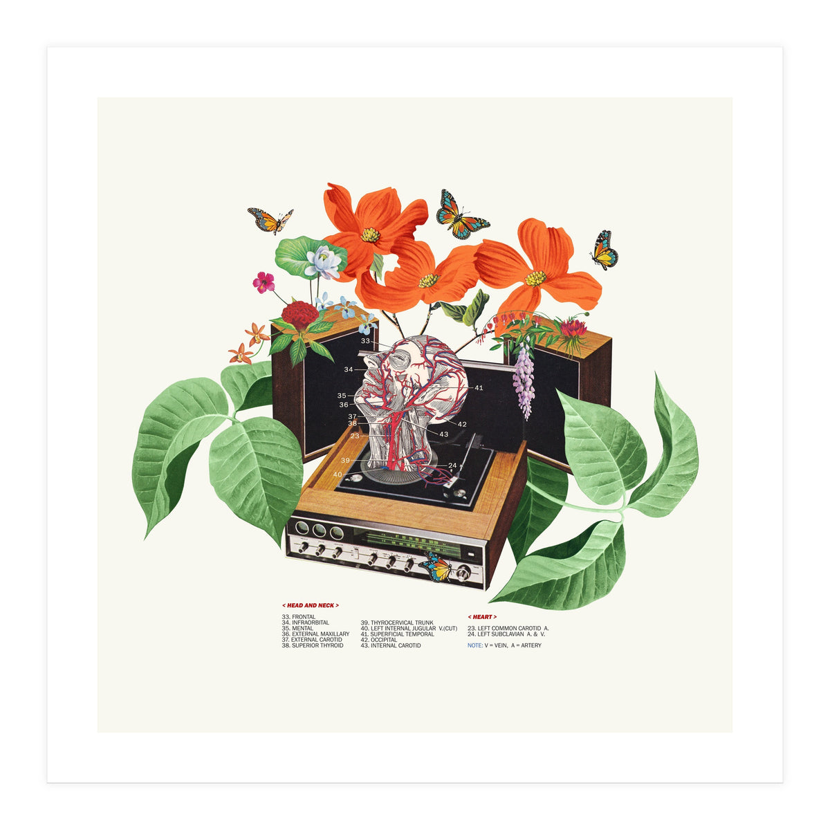 Brainwave (Print Only)