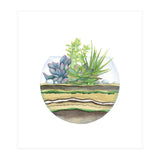 A Little Green Terrarium (Print Only) thumbnail