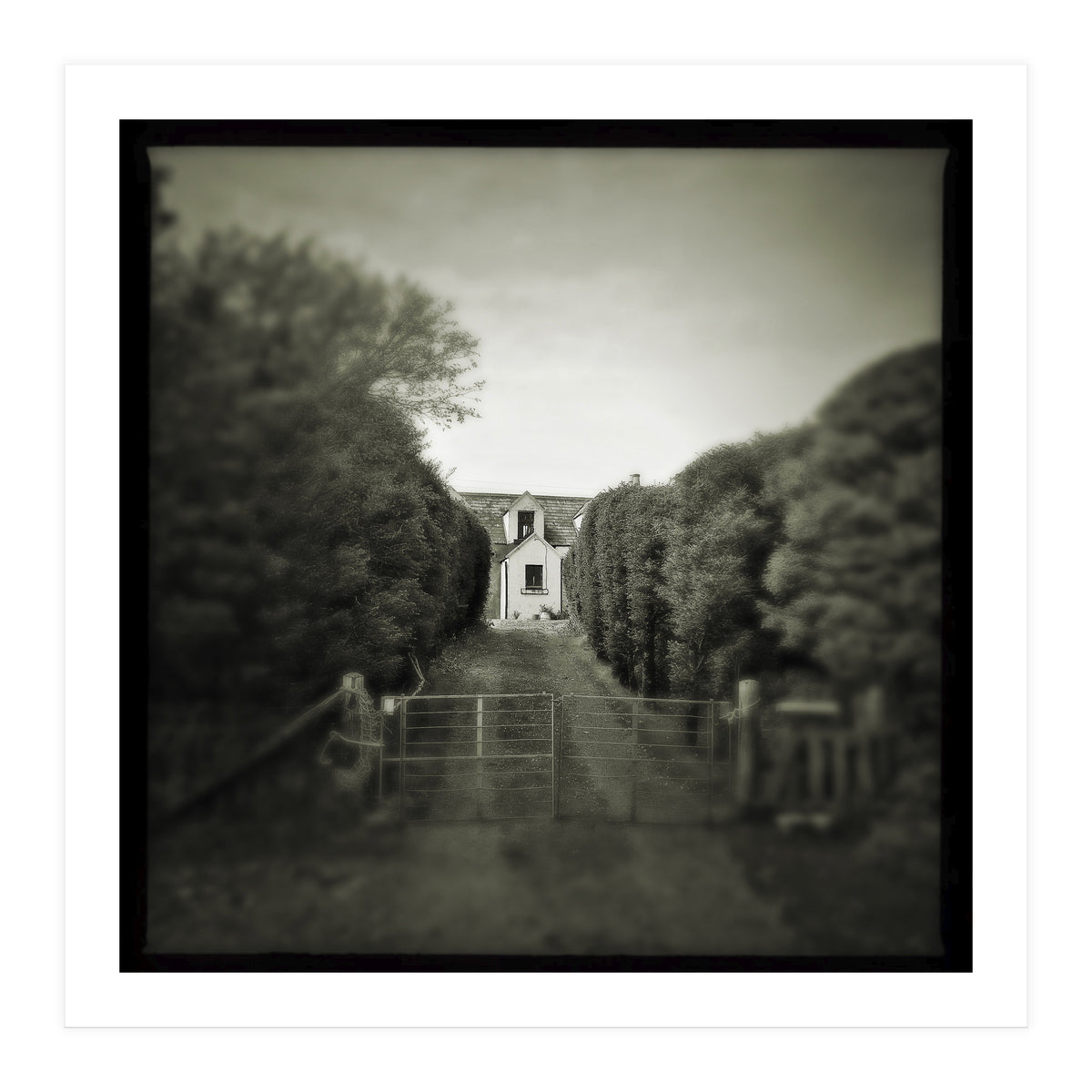 Waterstein 3 (Print Only)