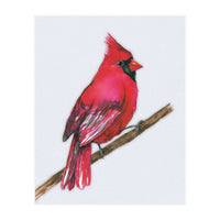 A Northern cardinal watercolor (Print Only)