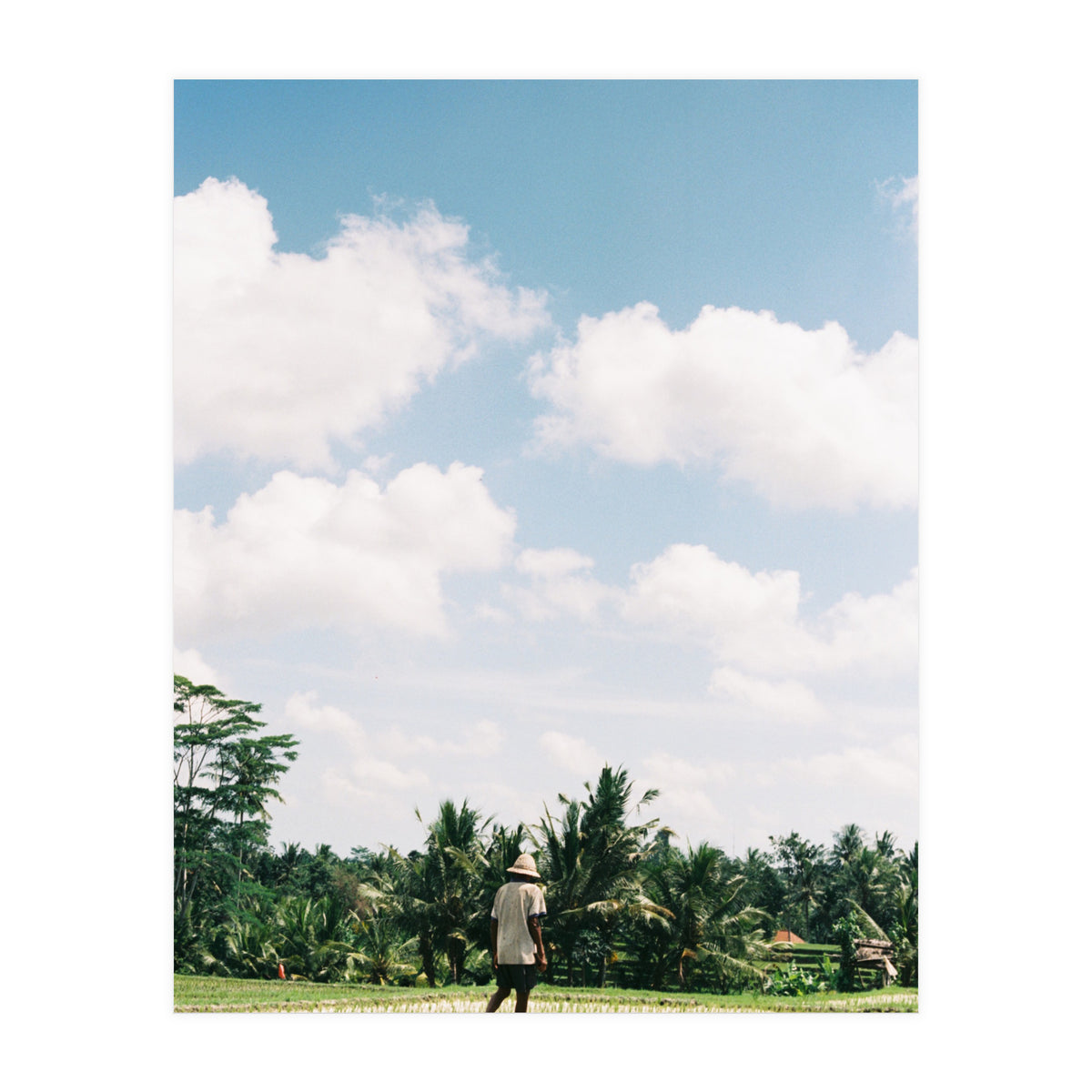 UBUD (Print Only)