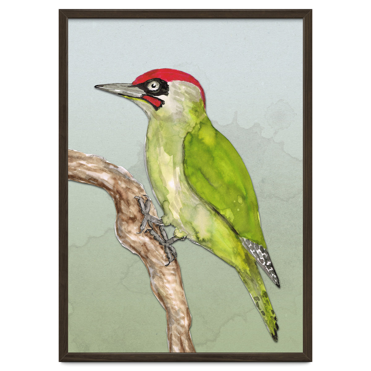 Green woodpecker