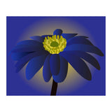Anemone Blanda Flower Art (Print Only) thumbnail