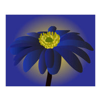 Anemone Blanda Flower Art (Print Only)