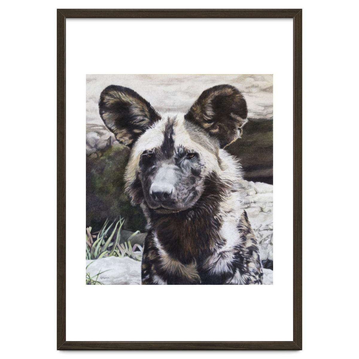 African Painted Dog II