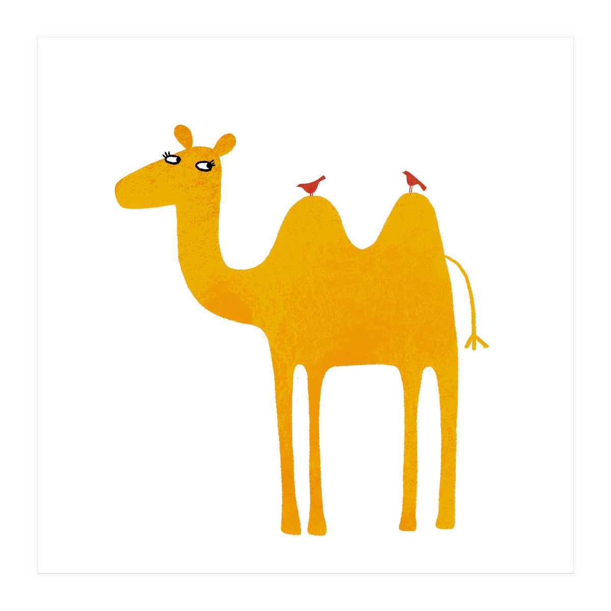 Camel (Print Only)