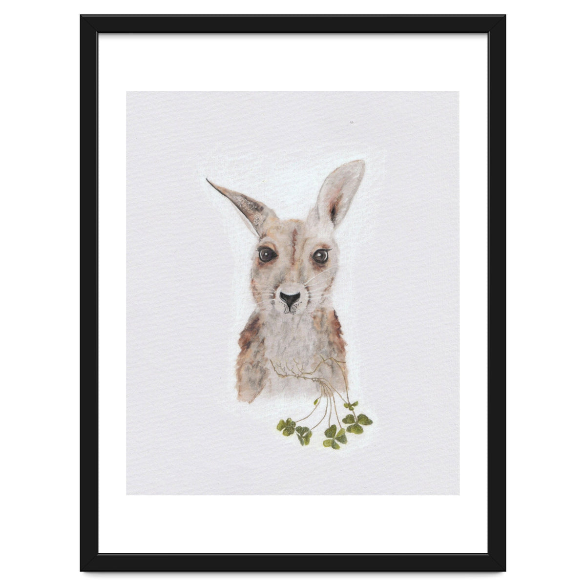 Wallaby - Australian Animal Series