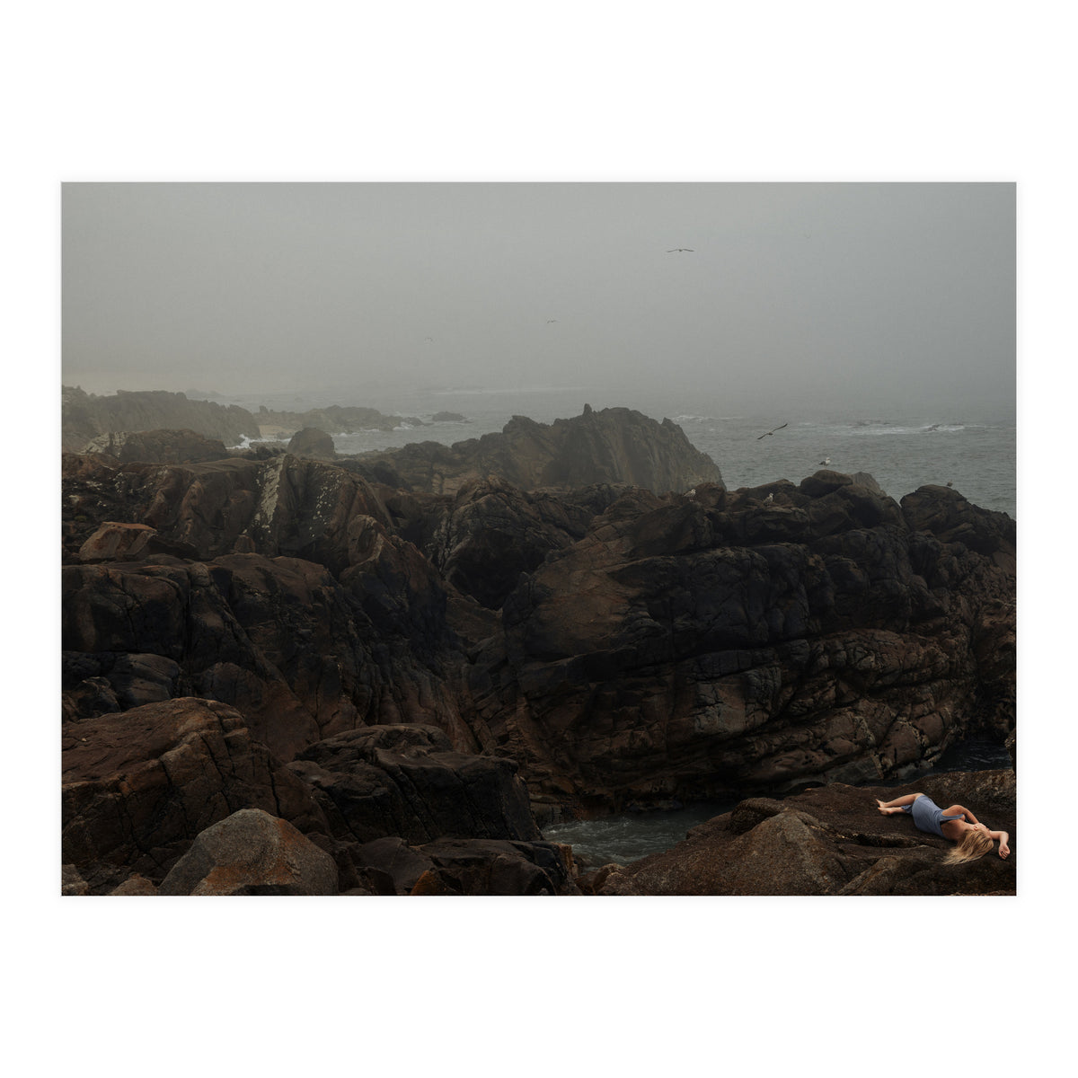 Seagull Bay (Print Only)