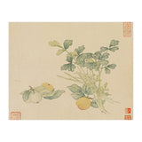 Wang Chengyu~flowers And Vegetables, Vegetables, Fruits, Plums, Apricots, Celery (Print Only) thumbnail