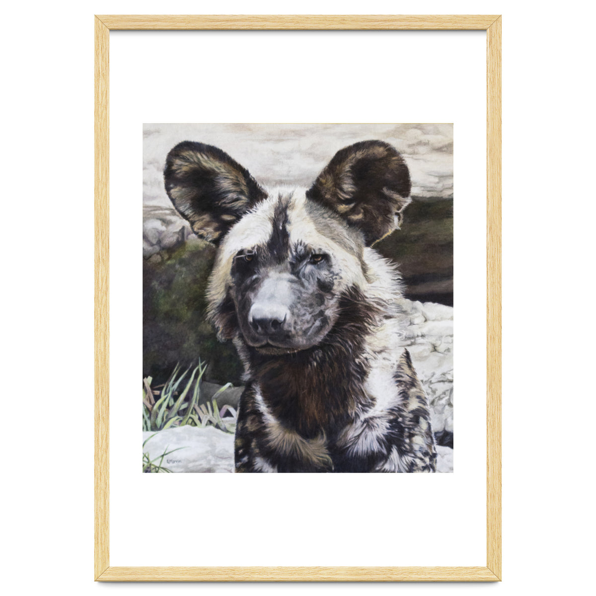 African Painted Dog II