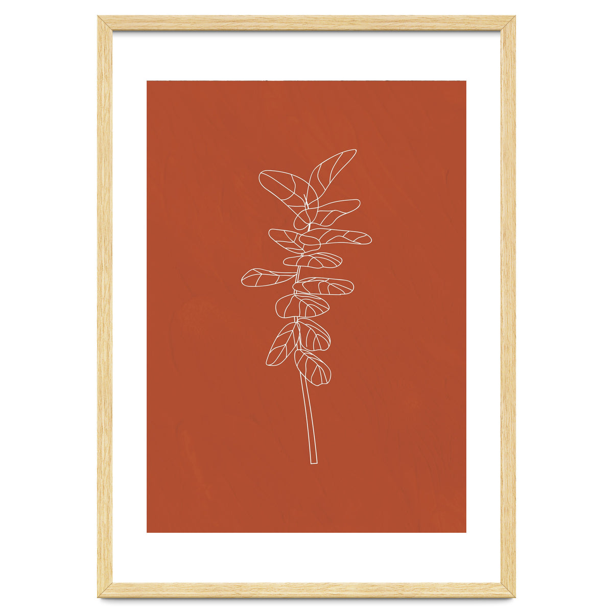 Line Art Botanical Terracotta
