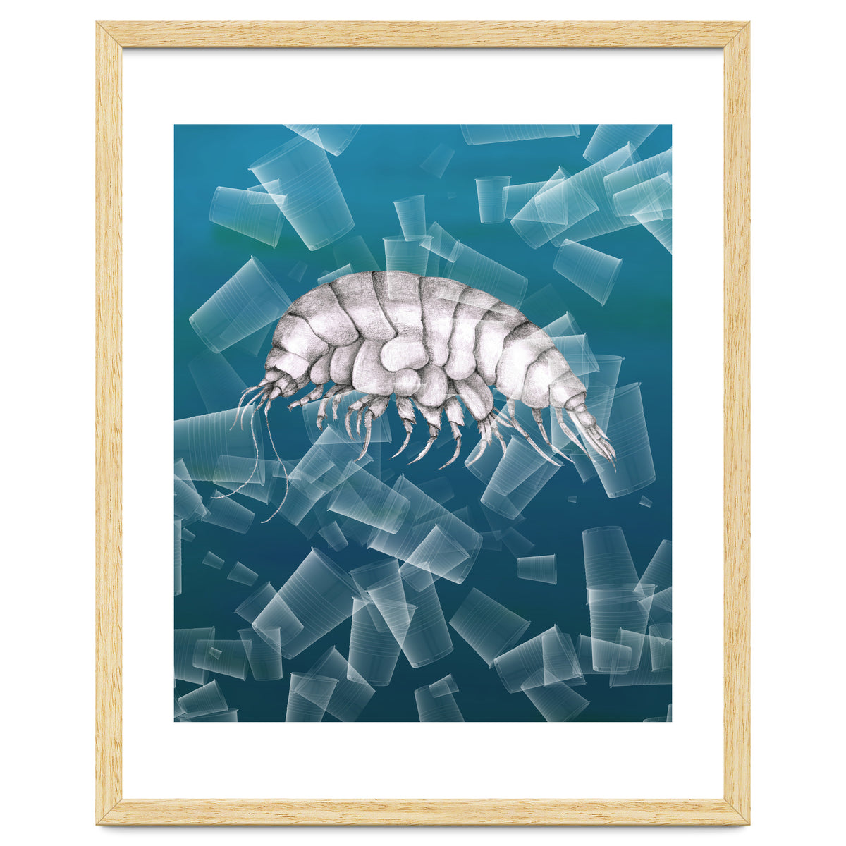 Eurythenes Plasticus