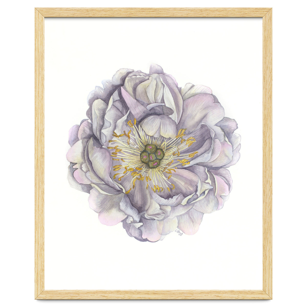 A Peony In Grey Std