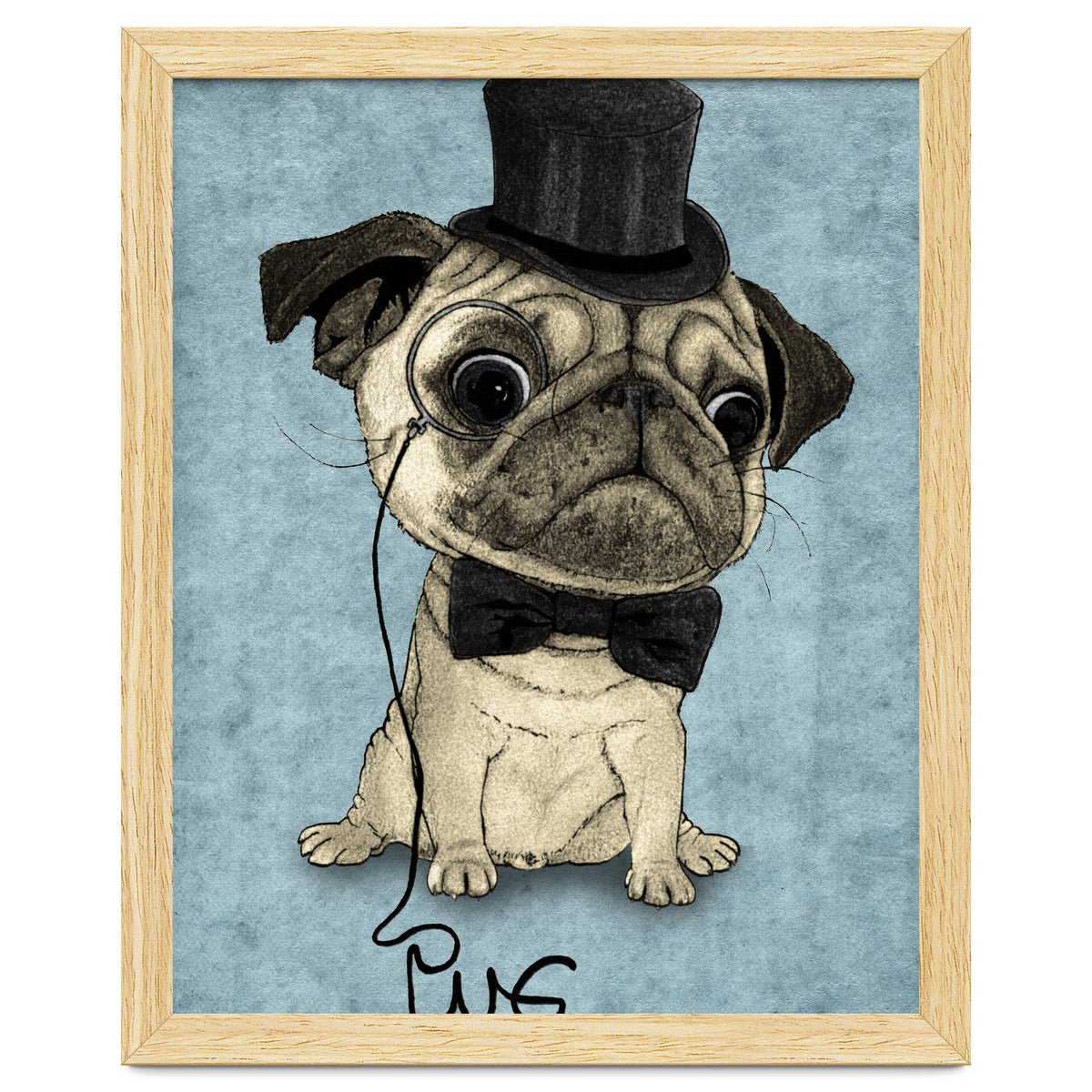 Pug, Gentle Pug