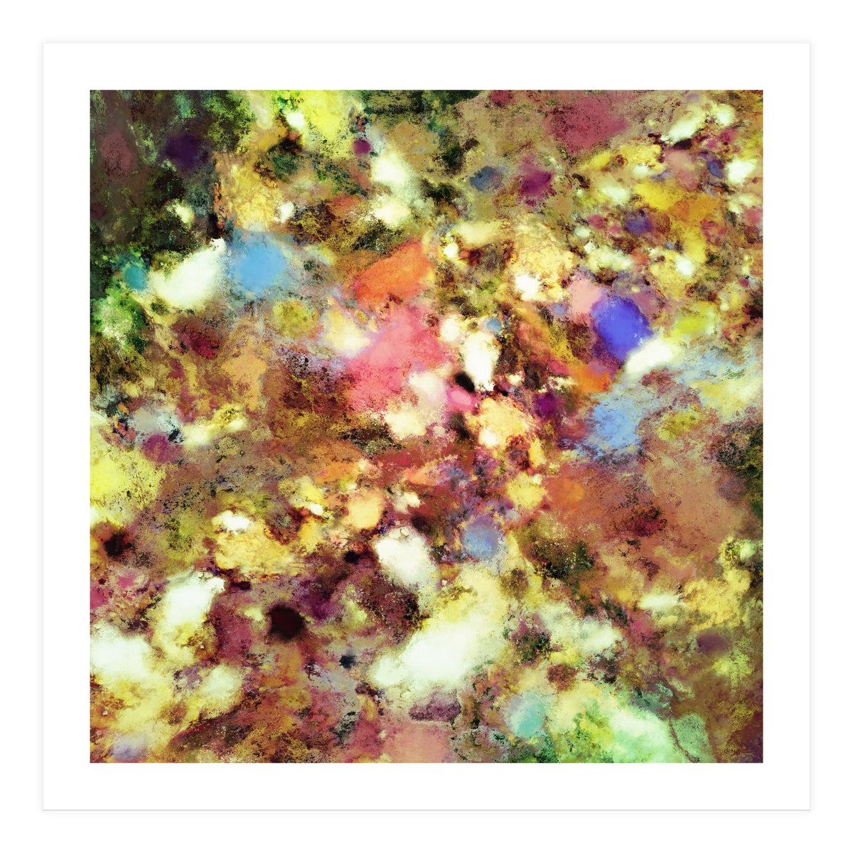 Discarded Blooms (Print Only)