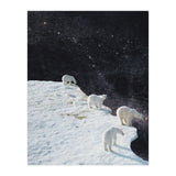Flat Earth (Print Only) thumbnail