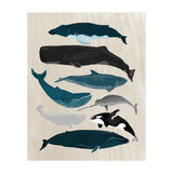 Whales (Print Only) thumbnail