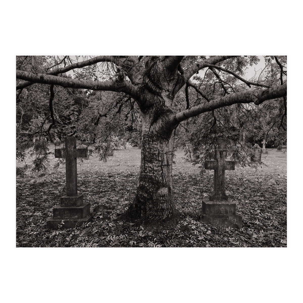 Golgotha (Print Only)