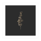 Gold Rush Botanicals - Square (Print Only) thumbnail