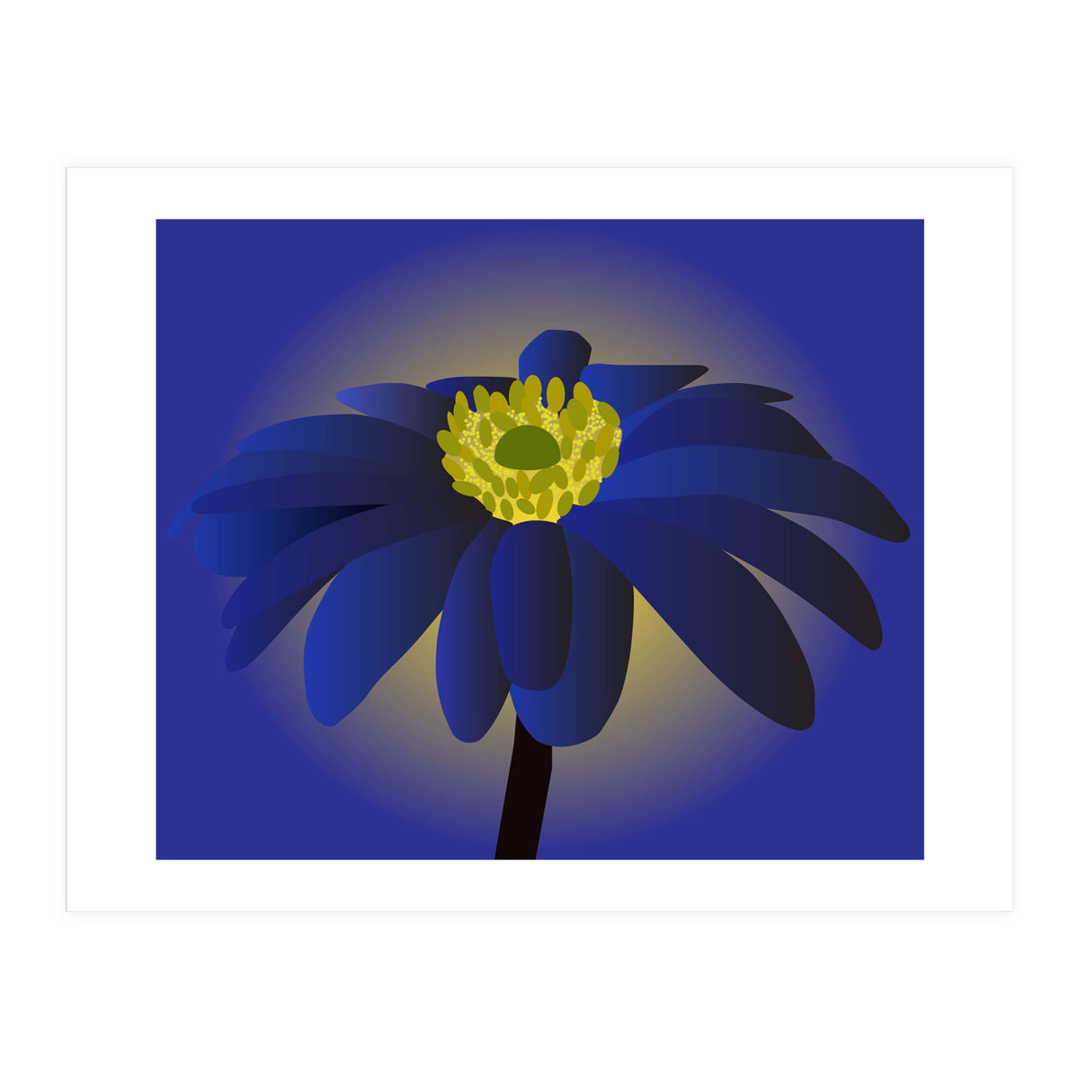 Anemone Blanda Flower Art (Print Only)