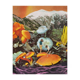 Glowing Mushrooms (Print Only) thumbnail