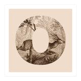 Oh Deer (Print Only) thumbnail