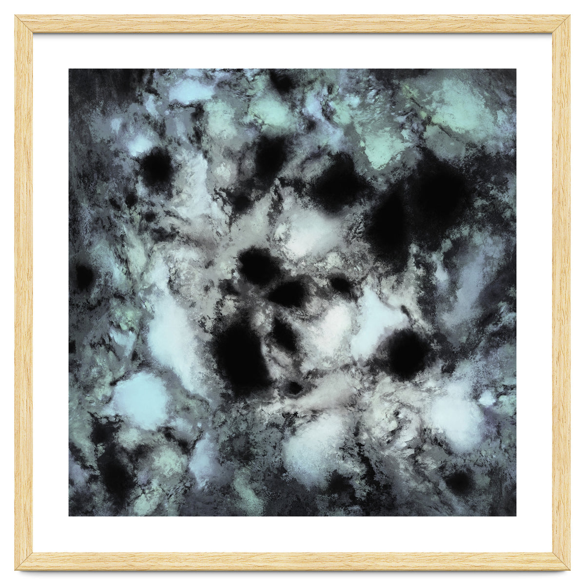 Searching For Animal Tracks