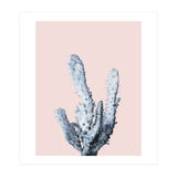 Cactus collection BL-I (Print Only) thumbnail