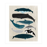 Whales (Print Only) thumbnail