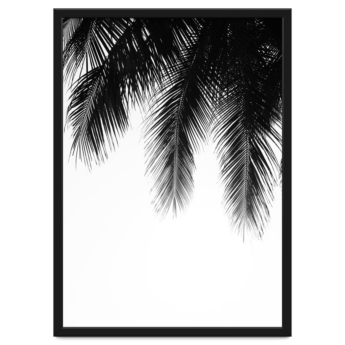 Palm leaves