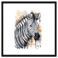 Zebra - Wildlife Collection