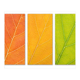 Autumn Leaves (Print Only) thumbnail