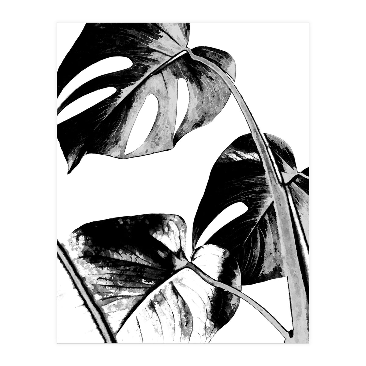Black Tropical Leaves  (Print Only)