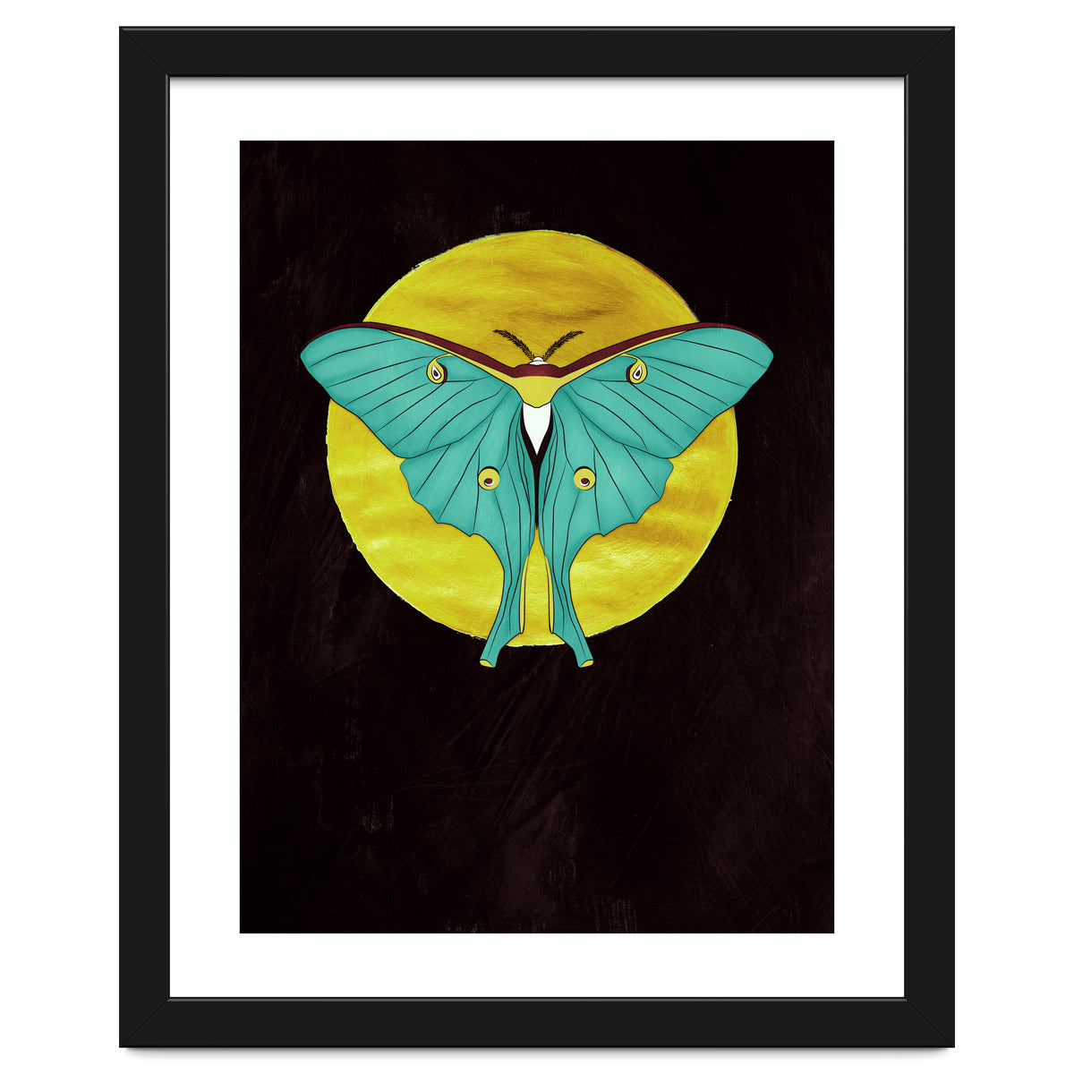 Luna Moth Moon