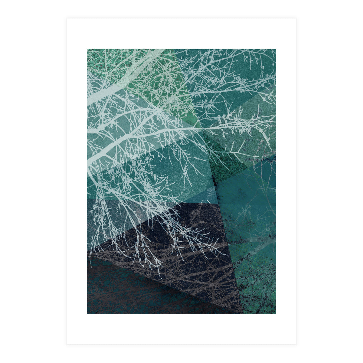 P19 E1 Trees And Triangles (Print Only)