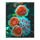 Rose Flowers  (Print Only) thumbnail