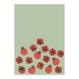 Tomato (Print Only) thumbnail