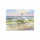 Sea and birds (Print Only) thumbnail