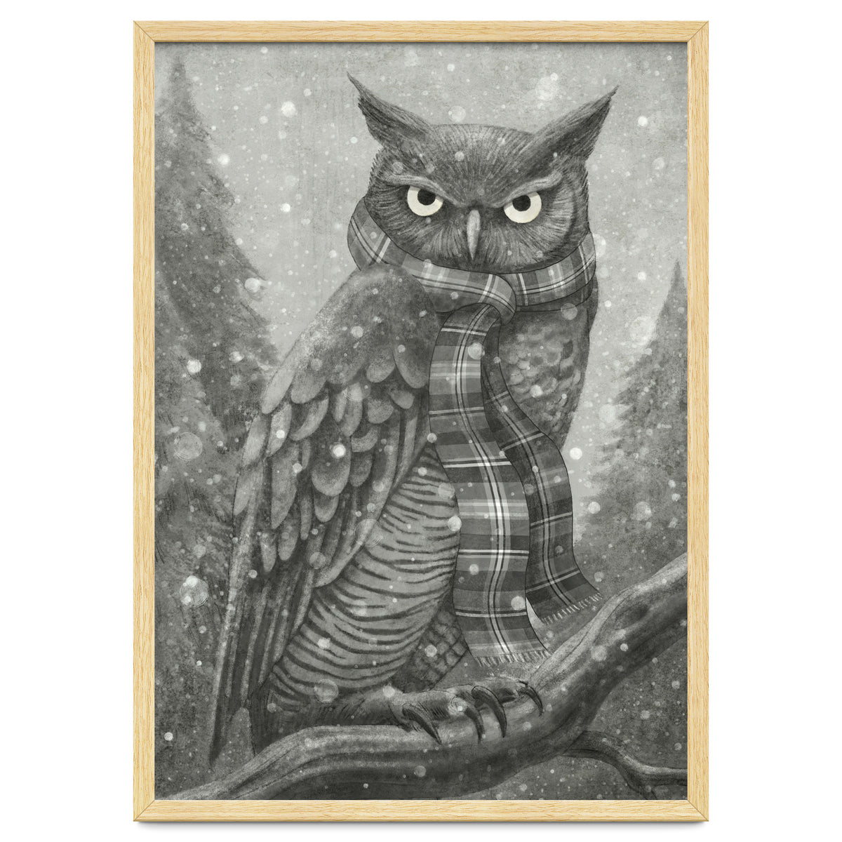Winter Owl