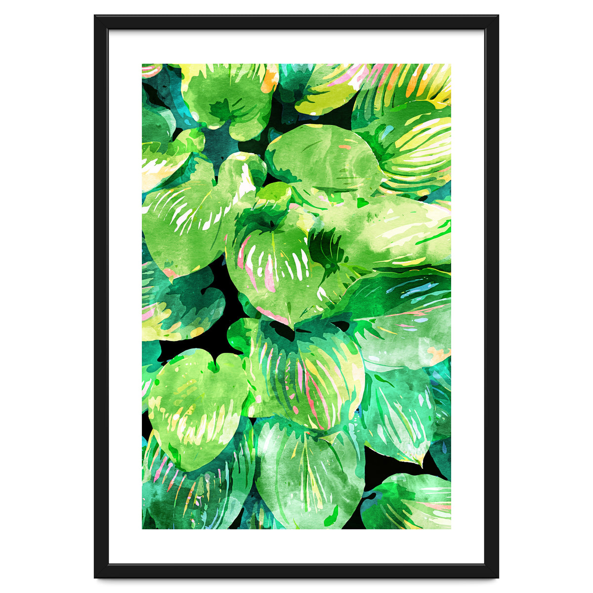 Colors Of The Jungle