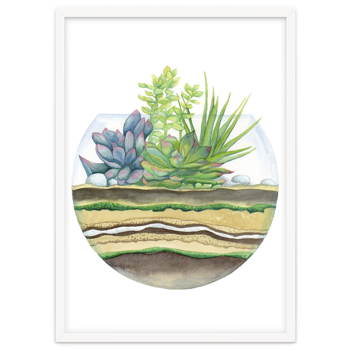 A Little Green Terrarium