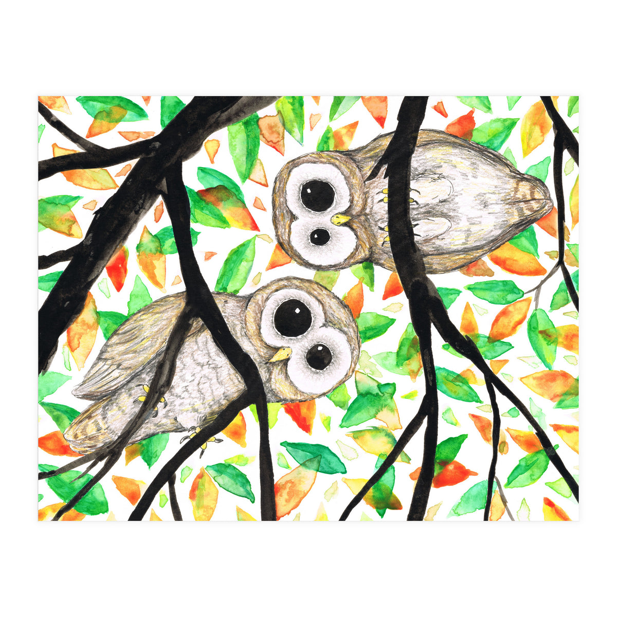 Two curious owls (Print Only)